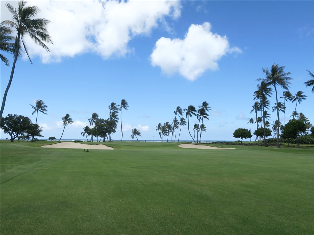 コタケヨシノリ× ワイアラエCC Hawaii WAIALAE 444